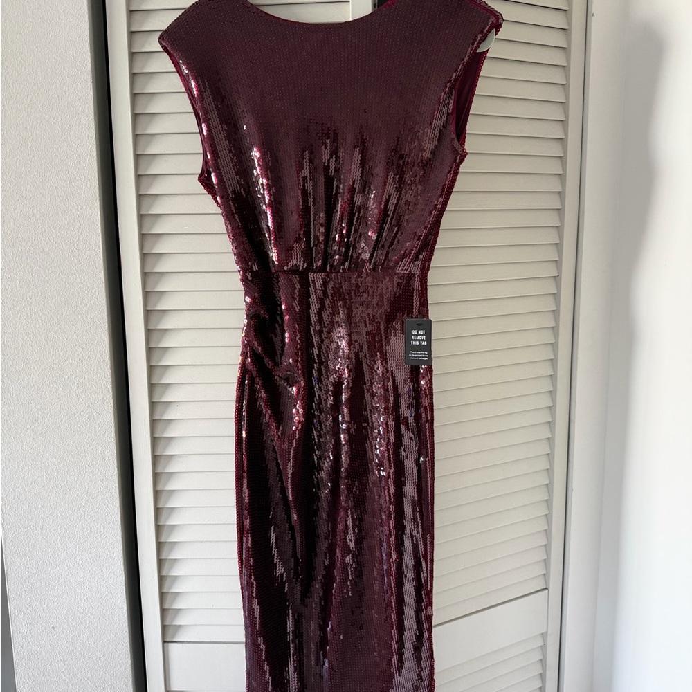 Express Burgundy Sequin Midi Dress